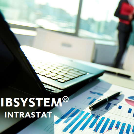 Kép: IBSystem pénzügy - intrastat jelentés